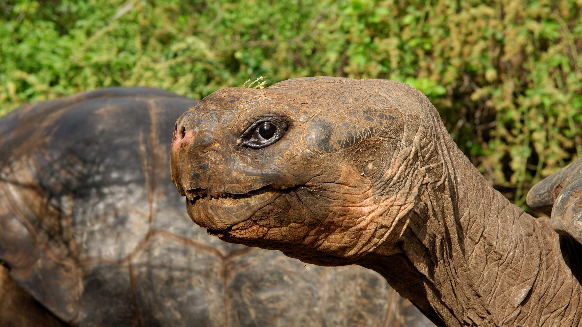 M/V Galápagos Legend · 4 Days / 3 Nights