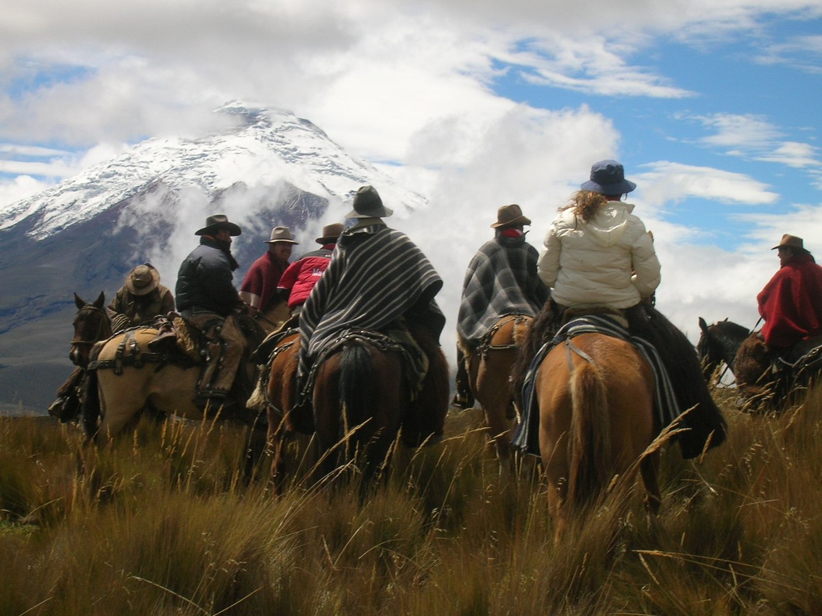 Andean Highlands